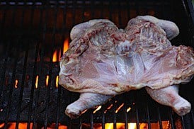 grilled-chicken.jpg