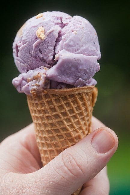 blueberry cheesecake frozen yogurt with a Biscoff swirl