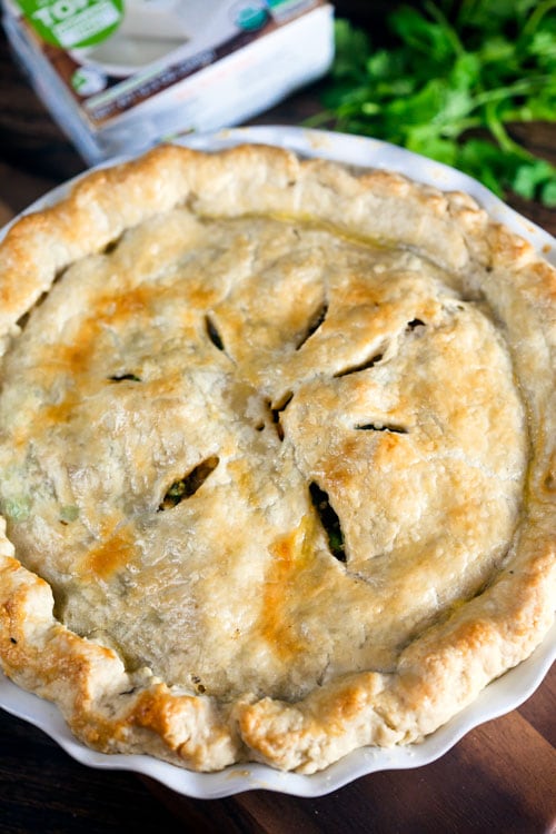 British-Curry-Pot-Pie