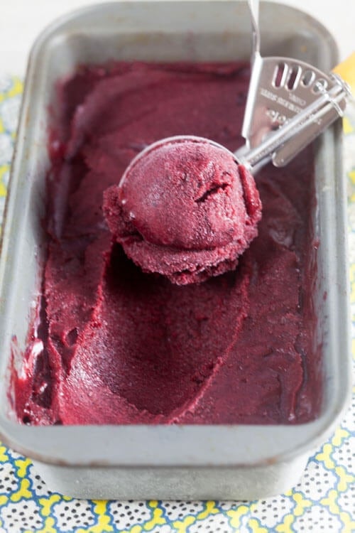 Blueberry Plum Sorbet with Sour Beer