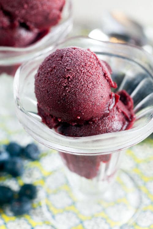 Blueberry Plum Sorbet with Sour Beer