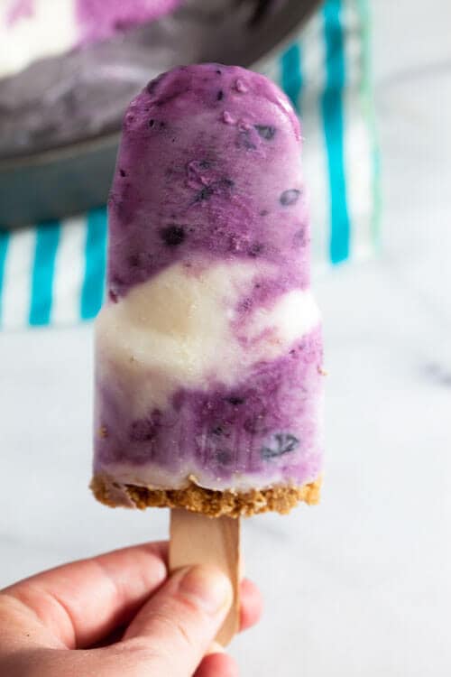 Blueberry Rhubarb Frozen Yogurt Breakfast Pops