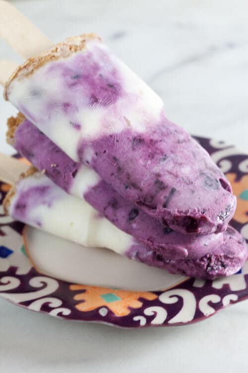 Blueberry Rhubarb Frozen Yogurt Breakfast Pops