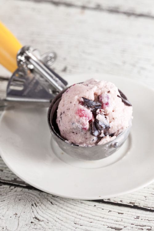 Pomegranate-Dark Chocolate Ice Cream