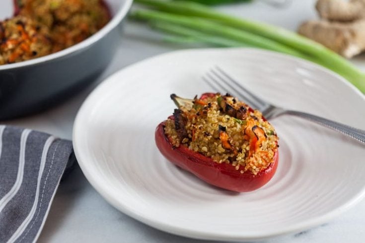 16 Delicious Stuffed Peppers Recipes 9