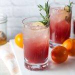 Sparkling Cranberry-Clementine Gin Cocktails with Rosemary + Honey 1