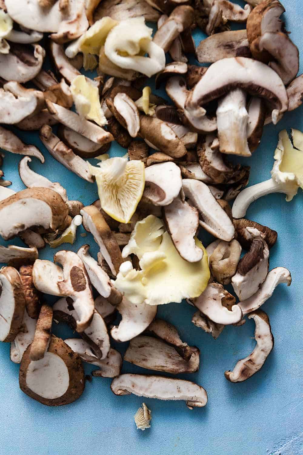 variety of mushrooms on blue background