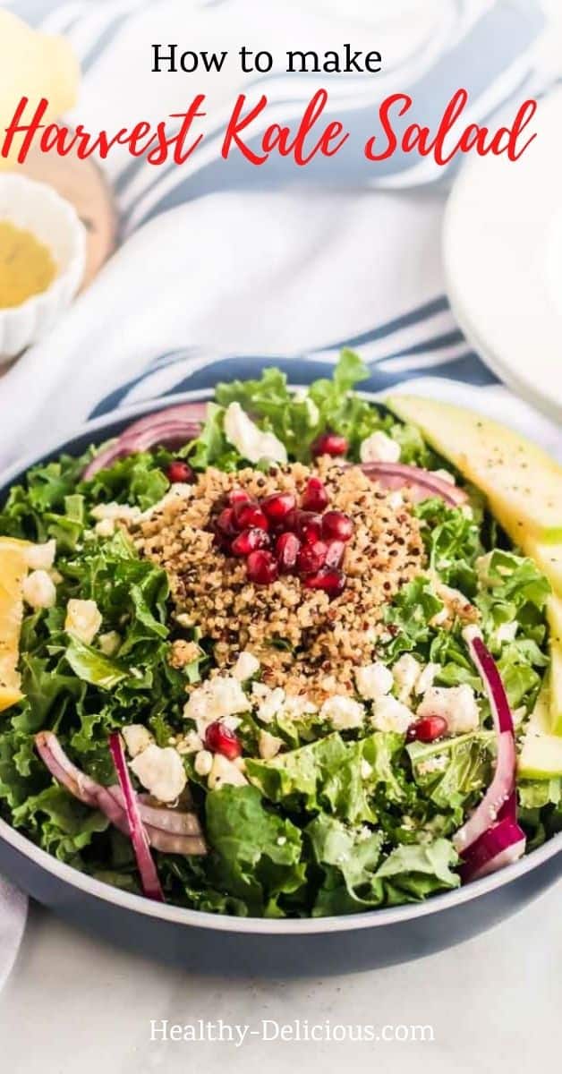 Harvest kale salad is a healthy recipe that's perfect for winter and fall. Kale is massaged with a tangy lemon vinaigrette, then topped with crunchy apples, juicy pomegranates, and protein-packed quinoa for tons of flavor and texture in every bite. via @HealthyDelish