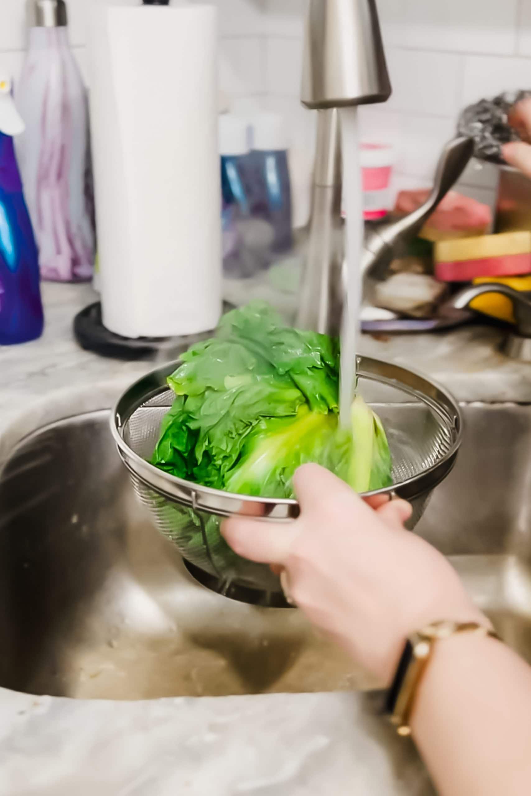 Rinsing the blanched escarole.
