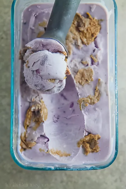 Blueberry Frozen Yogurt with a Cookie Butter Swirl 2